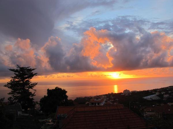 Madeira House Сasa de vacaciones Calheta (Madeira)